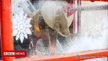 Elephant-themed trail unveiled by RSC in Stratford-upon-Avon - BBC News
