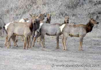 Trail closures announced as winter season looms - Steamboat Pilot & Today