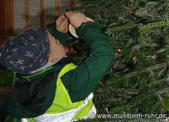 Arche-Park wieder weihnachtlich geschmückt