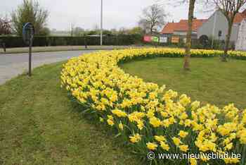 Gemeentebestuur Nijlen plant 78.000 bloembollen