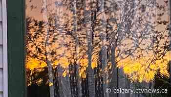 Calgary weather for Wednesday, Dec. 1 | CTV News - CTV News Calgary