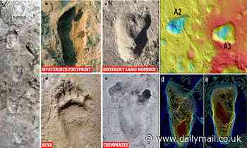 Mysterious footprints discovered in Tanzania were left by early humans 3.7 million years ago