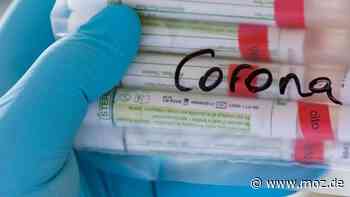 Corona in Potsdam-Mittelmark: Impf- und Teststellen in der Stadt Bad Belzig - moz.de