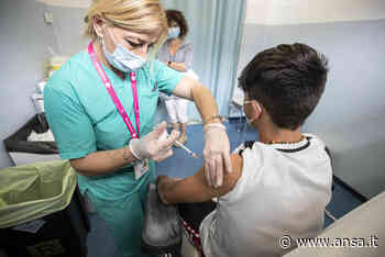 Vaccini:nel Lazio 5/12 apertura 12 hub,5000 dosi per over 18 - Lazio - Agenzia ANSA