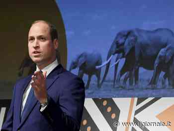 "William è un principe razzista": scoppia il caos a corte