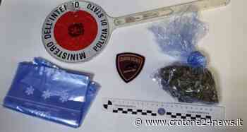 Crotone: arrestato 22enne beccato con 37 grammi di marijuana - Crotone24News.it