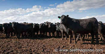 Cattle Feeders Hall of Fame names inductees