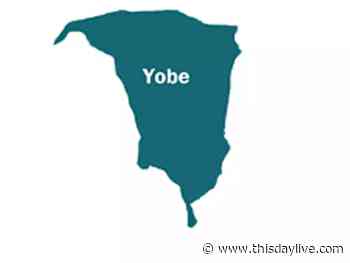 Security Operatives Foil Attack on Yobe Community - THISDAY Newspapers