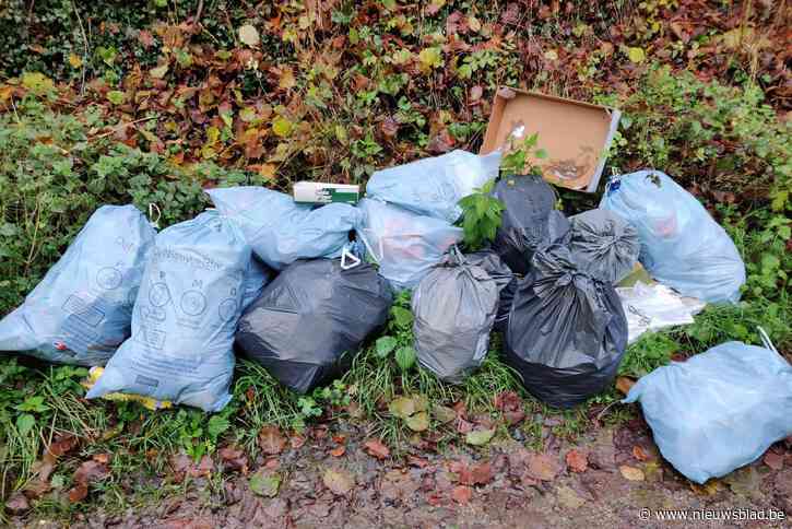 Politie identificeert sluikstorter in Wellen