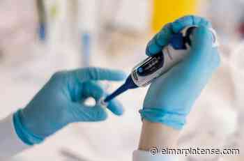 Reportaron 900 nuevos casos de coronavirus en la provincia de Buenos Aires en las últimas 24 horas - El Marplatense