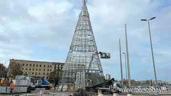 In Largo Giannella si accendono oltre 100 mila lampadine: un grande albero di luci torna a illuminare il Natale barese - BariToday