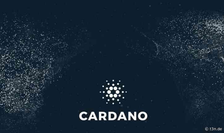 Cardano (ADA): Immer mehr Nutzer und dennoch niedrigerer Kurs - t3n Magazin