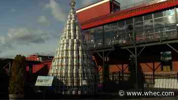 Genesee Brewery celebrating the '12 Days of Keg Tree' this year