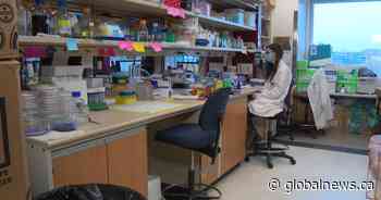 Alberta government commits $80M to develop and manufacture vaccines