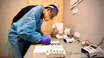 COVID updates: All the coronavirus news from across Australia - ABC News