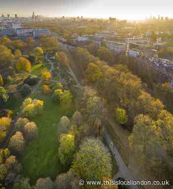 The Pandemic and Nature - Oluwatobi Odugbemi Croydon High School