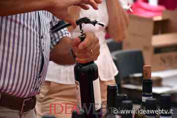 Con "La Forma del Vino" Confindustria Cuneo celebra uno dei settori di punta del territorio - IdeaWebTv