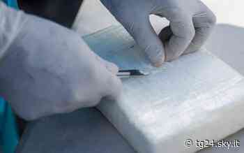 Cuneo, nascondevano cocaina nei campi e vicino ai fiumi: arrestati - Sky Tg24