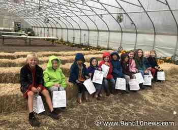 A Little Peek at Nature-Based Learning at Forest & Farm in Cadillac - 9 & 10 News - 9&10 News