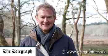 New Forest: The Crown's Hunting Ground, review: Hugh Bonneville does his best Attenborough - The Telegraph