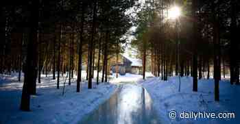 Skate through this enchanted forest in Quebec all winter (PHOTOS) | Listed - Daily Hive