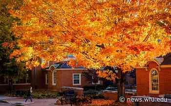 WFU in the news: Nov. 22-28 | Wake Forest News - Wake Forest News