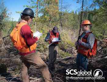 Forest Management Certifications: Understanding the Role of Audits and Certification Bodies - Yahoo Finance