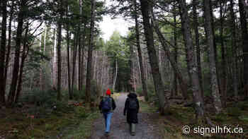 New old-growth policy won't change much: forest ecologist - The Signal