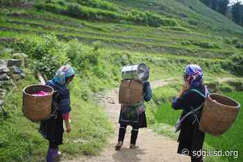 Guest Article: FAO Launches Trainings on National Forest Inventories | SDG Knowledge Hub | IISD - IISD's SDG Knowledge Hub