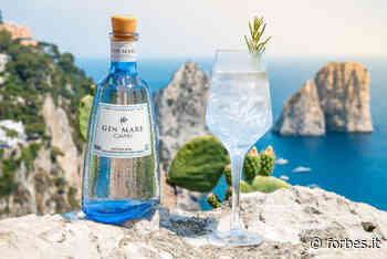 Dalla web serie a un prodotto dedicato: tutta la magia di Capri per i 10 anni di Gin Mare - Forbes Italia