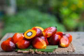 Fatty acid in palm oil associated with spread of cancerous cells