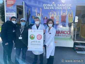 Aids: iniziative Policlinico e al S. Marco di Catania - Agenzia ANSA