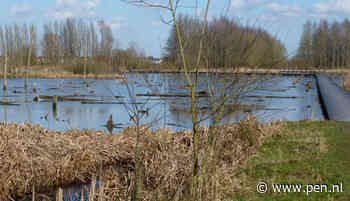 IVN wandeling langs het lint- en liniepad - De Digitale Stad Nieuwegein - De Digitale Stad Nieuwegein