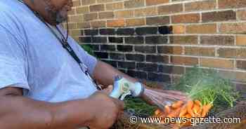 C-U at Work Prosperity Gardens program blooms in its second season - Champaign/Urbana News-Gazette