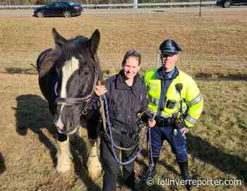 Horse gets loose and gallops down Route 140 – Fall River Reporter - Fall River Reporter