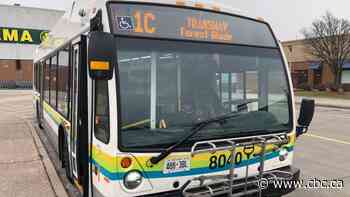 Recently added St. Clair College bus route could become permanent with council approval - CBC.ca