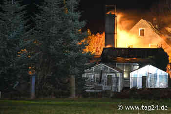 Dresden: Gewächshaus in Flammen - Spätabendlicher Feuerwehreinsatz in Malschwitz - TAG24