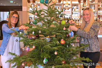 Dresden: Hier wachsen Kinderträume auf den Bäumen - TAG24