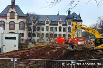 Startschuss für Kunstrasenplatz - Freie Presse