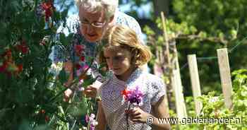 Proeftuin bij De Wellen valt in de prijzen - De Gelderlander