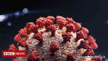 Omicron variant case found in Norfolk, health bosses confirm