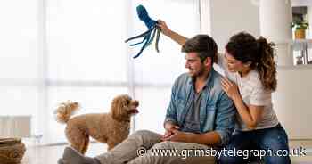 Most unusual dog names of 2021 revealed - Grimsby Live - Grimsby Live