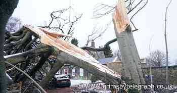 Storm Arwen leaves 30,000 homes without power - Grimsby Live - Grimsby Live