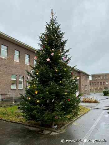 Weihnachtsbaum auf der Feuer- und Rettungswache in Marl - Marl - Lokalkompass.de