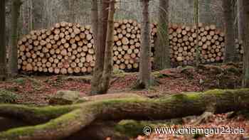 Landkreis Traunstein: Wasserwirtschaftsamt Traunstein führt notwendige Gehölzarbeiten zu Beginn des kommend... - chiemgau24.de