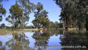 Areas isolated as NSW floods continue - Gloucester Advocate