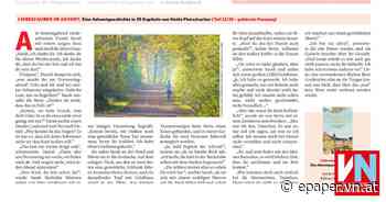 Liebeszauber im Advent. Eine Adventgeschichte in 25 Kapiteln von Heide Flatschacher (Teil 11/25 – gekürzte Fassung) - Vorarlberger Nachrichten | VN.AT