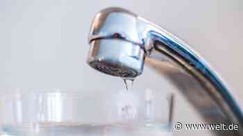 Berufung eingelegt: Der Kampf ums Wasser aus der Heide geht weiter - DIE WELT