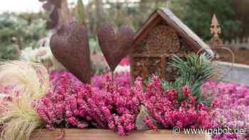 Gardengirls®: Trendige Heide-Ideen auf der IPM 2022 - GABOT
