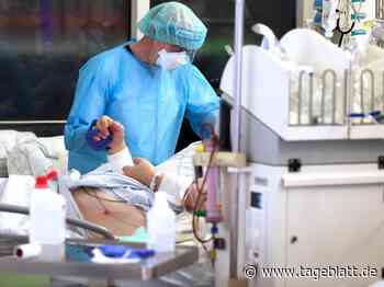 Höchste Zahl gemeldeter Corona-Toter seit Februar - TAGEBLATT: Nachrichten aus Stade, Buxtehude und der Region - Tageblatt-online